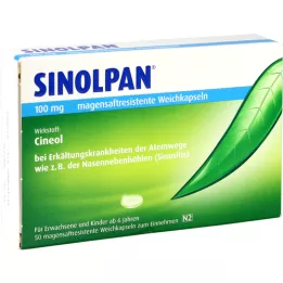 SINOLPAN 100 mg skrandyje neirios minkštos kapsulės, 50 vnt