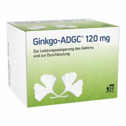 GINKGO ADGC 120 mg plėvele dengtos tabletės, 120 vnt