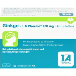 GINKGO-1A Pharma 120 mg plėvele dengtos tabletės, 60 vnt