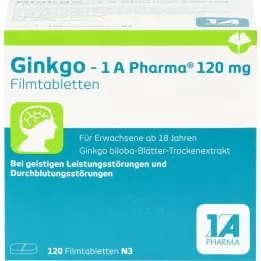 GINKGO-1A Pharma 120 mg plėvele dengtos tabletės, 120 vnt