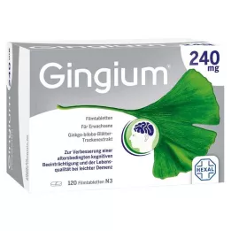 GINGIUM 240 mg plėvele dengtos tabletės, 120 vnt