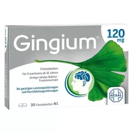 GINGIUM 120 mg plėvele dengtos tabletės, 30 vnt