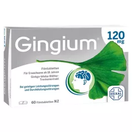 GINGIUM 120 mg plėvele dengtos tabletės, 60 vnt