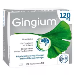GINGIUM 120 mg plėvele dengtos tabletės, 120 vnt