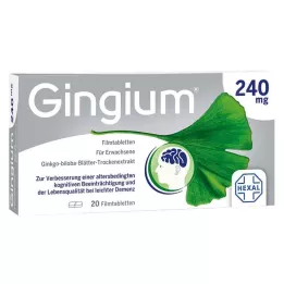 GINGIUM 240 mg plėvele dengtos tabletės, 20 vnt