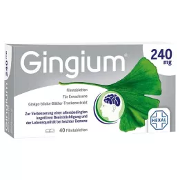 GINGIUM 240 mg plėvele dengtos tabletės, 40 vnt
