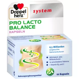 DOPPELHERZ Pro Lacto Balance sistemos kapsulės, 10 vnt
