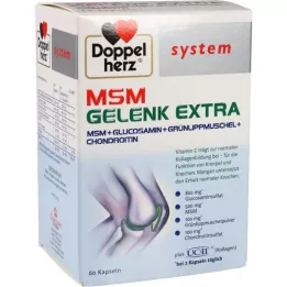DOPPELHERZ MSM Jungties papildomos sistemos kapsulės, 60 vnt