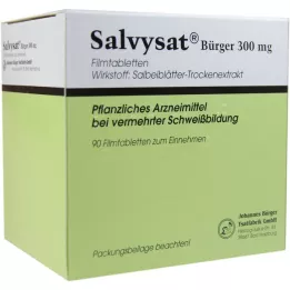 SALVYSAT Piliečiai 300 mg plėvele dengtos tabletės, 90 vnt