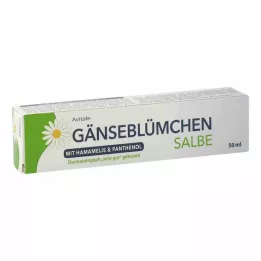 GÄNSEBLÜMCHEN Tepalas su hamameliu &amp; Pantenolis, 50 ml