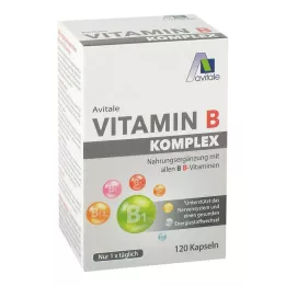 VITAMIN B KOMPLEX kapsulės, 120 vnt