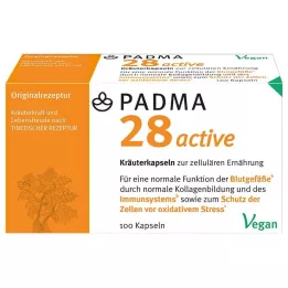 PADMA 28 aktyvios kapsulės, 100 vnt