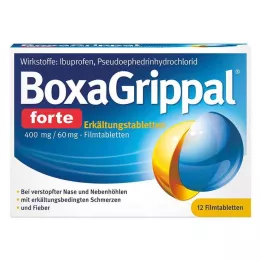 BOXAGRIPPAL Forte šalta tabletė. 400 mg/60 mg FTA, 12 vnt