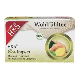 H&S organiniai imbiero filtrų maišeliai, 20X2 g