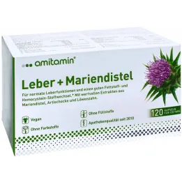 Amitamino pieno erškėtis + kepenų kapsulės (120 vnt.)