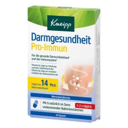 Kneipp žarnyno sveikatos proimuninės kapsulės (20 vnt.)