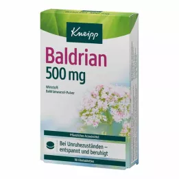 KNEIPP Valerijono 500 mg plėvele dengtos tabletės, 90 tablečių