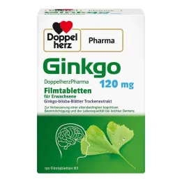 Ginkgo DoppelherzPharma 120 mg plėvele dengtos tabletės, 120 vnt