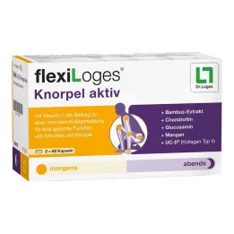 Flexiloges kremzlės aktyvios kapsulės, 120 vnt