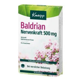 Kneipp Valerian Nerve Power 500 mg plėvele dengtos tabletės, 30 vnt