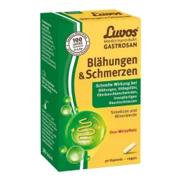 Luvos Gastrosan Flatulence &amp; skausmo kapsulės, 30 vnt