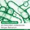 Bioticloges subtilis kapsulės, 30 vnt
