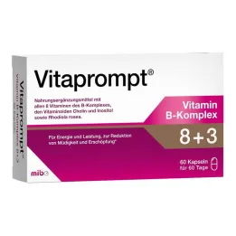 Vitaprompt Vitamin B kompleksas 8 + 3 kapsulės, 60 vnt